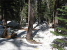 photo thumbnail #15