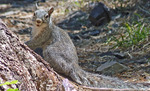 photo thumbnail #3