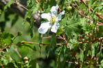 photo thumbnail #13