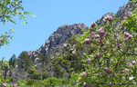 photo thumbnail #14
