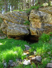photo thumbnail #3