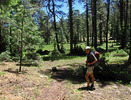 photo thumbnail #12