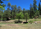 photo thumbnail #6
