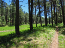 photo thumbnail #8