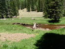 photo thumbnail #2