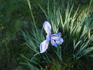photo thumbnail #4