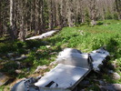 photo thumbnail #8