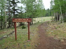 recent photo