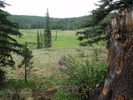recent photo