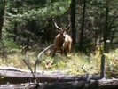 photo thumbnail #8