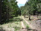 photo thumbnail #5