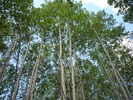 photo thumbnail #12