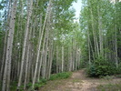 photo thumbnail #13