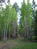 photo thumbnail #14