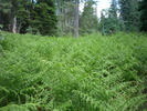 photo thumbnail #15