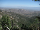 photo thumbnail #7