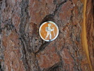 photo thumbnail #11