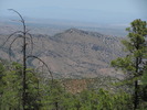 photo thumbnail #13