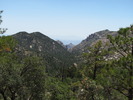 photo thumbnail #14
