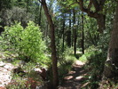photo thumbnail #15