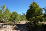 photo thumbnail #4