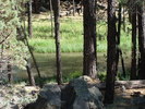 photo thumbnail #9