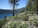 photo thumbnail #3