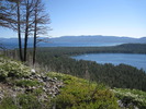photo thumbnail #4