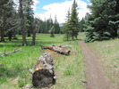photo thumbnail #1