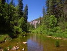 photo thumbnail #12