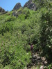 photo thumbnail #8