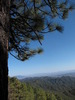 photo thumbnail #15