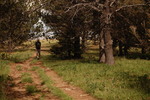 photo thumbnail #14