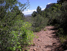 photo thumbnail #2