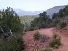photo thumbnail #4