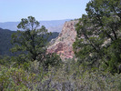photo thumbnail #5