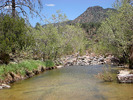 photo thumbnail #6
