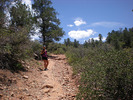 photo thumbnail #11