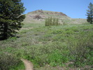 photo thumbnail #4