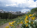 photo thumbnail #6