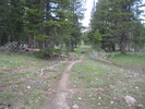 photo thumbnail #11