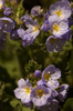 photo thumbnail #15