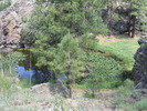 photo thumbnail #2