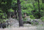 photo thumbnail #10