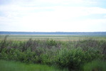 photo thumbnail #14