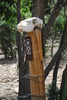 photo thumbnail #15