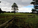 photo thumbnail #14