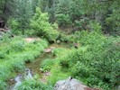 photo thumbnail #8
