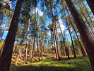 photo thumbnail #8
