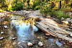 photo thumbnail #14